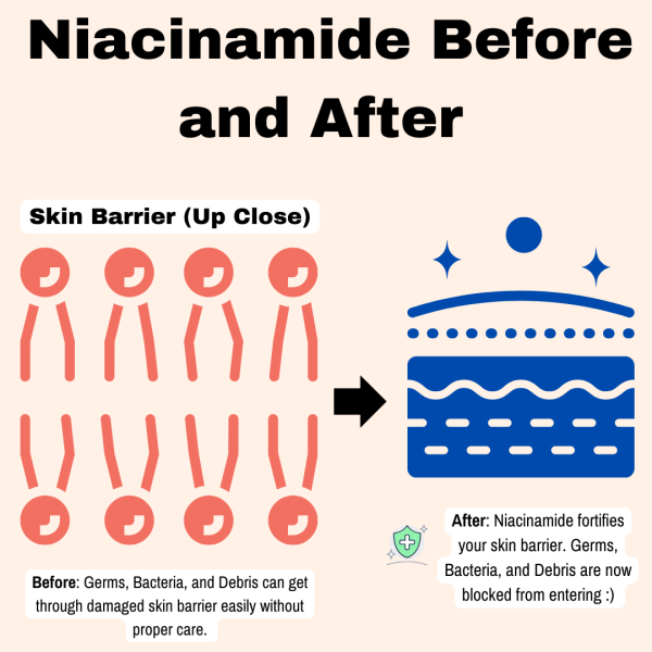 niacinamide before and after